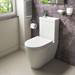 Iconic Combined Two-In-One Wash Basin + Toilet (inc. Tap & Waste) profile small image view 7 