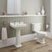 Darwin Traditional Close Coupled Toilet + Soft Close Seat profile small image view 3 
