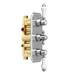 Trafalgar Traditional Triple Concealed Thermostatic Shower Valve profile small image view 6 