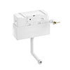 Burlington Riviera Concealed Cistern with Gold Flush Lever profile small image view 1 