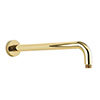 Crosswater MPRO Wall Mounted Shower Arm - Unlacquered Brass - FH684Q profile small image view 1 