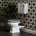 Bayswater Fitzroy Low Level Traditional Bathroom Suite profile small image view 3 