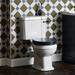 Bayswater Fitzroy Traditional Close Coupled Toilet with Ceramic Lever Flush profile small image view 3 