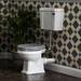 Bayswater Fitzroy Traditional Low Level Toilet with Ceramic Lever Flush profile small image view 2 