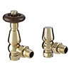 Bloomsbury Traditional Gold Thermostatic Radiator Valve profile small image view 1 