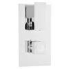 Hudson Reed Art Twin Concealed Thermostatic Shower Valve - ART3210 profile small image view 1 