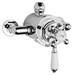 Hudson Reed Traditional Dual Exposed Thermostatic Shower Valve + Rigid Riser Kit profile small image view 3 