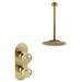 Arezzo Brushed Brass Industrial Style Shower System with Concealed Valve + Ceiling Mounted Head profile small image view 6 