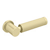Arezzo Industrial Style Brushed Brass Knurled Grip Cistern Lever profile small image view 1 