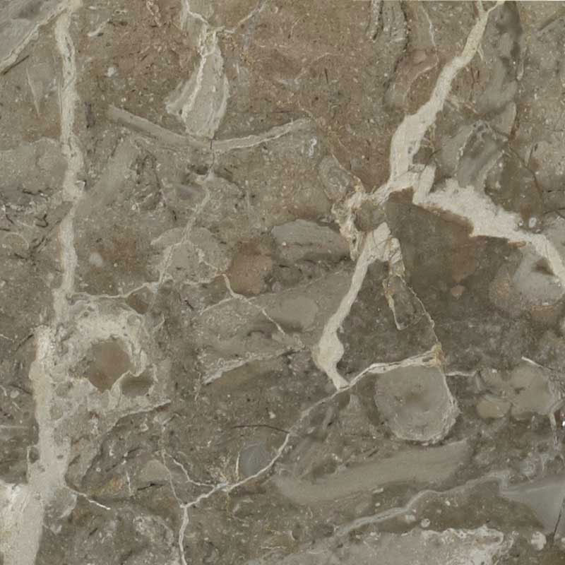 BCT Tiles 5 Elite Java Grey Polished Stone Tiles 305x305mm