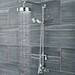 Nuie Traditional Twin Exposed Thermostatic Shower Valve - Chrome profile small image view 2 