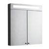 Hudson Reed Tuscon Stainless Steel Bathroom Cabinet with 2 Doors & Light - LQ334 profile small image view 1 