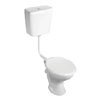 Armitage Shanks Sandringham 21 Magnia Low Level WC with Push Button Flush + Soft Close Seat profile small image view 1 