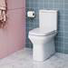 Britton MyHome Close Coupled Back-to-Wall Toilet + Soft Close Seat profile small image view 2 