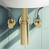 Arezzo Brushed Brass Trap and Isolating Set profile small image view 1 