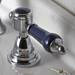 Heritage Glastonbury Midnight Blue 3 Hole Basin Mixer with Pop-up Waste - TGRBL06 profile small image view 3 