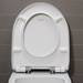 Duravit No.1 480mm HygieneGlaze Rimless Back to Wall Toilet Pan + Seat profile small image view 6 