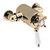 Bristan - 1901 Exposed Dual Control Thermostatic Shower Valve - Gold - N2-CSHXVO-G profile small image view 1 