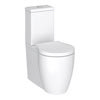 Nuie Darwin Flush To Wall Toilet + Soft Close Seat profile small image view 1 