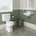 Carlton 515mm Traditional Cloakroom Basin (2 Tap Hole - Depth 300mm) profile small image view 4 