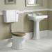 Old London Richmond Low Level Traditional Toilet + Soft Close Seat profile small image view 3 