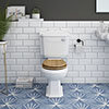 Oxford Traditional Toilet with Soft Close Seat - Various Colour Options profile small image view 1 