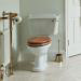 Heritage - Dorchester Close Coupled WC & Landscape Cistern - Various Lever Options profile small image view 3 