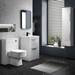 Monza BTW Toilet with Bliss Square Pan + Soft Close Seat profile small image view 4 