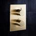Crosswater - Brushed Brass MPRO Crossbox 2 Outlet (Bath/Shower Icons) Trim & Levers Finishing Kit profile small image view 2 
