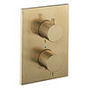 Crosswater - Brushed Brass MPRO Crossbox 3 Outlet Trim & Levers Finishing Kit profile small image view 1 