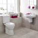 Nuie Caledon 555mm Basin with Semi Pedestal profile small image view 2 
