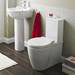 Nuie Darwin Flush To Wall Toilet + Soft Close Seat profile small image view 2 