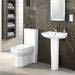 Nuie Renoir Compact BTW Toilet + Soft Close Seat profile small image view 2 