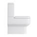 Pro 600 Modern Fully Back To Wall BTW Toilet + Soft Close Seat profile small image view 2 