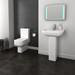 Pro 600 Modern Fully Back To Wall BTW Toilet + Soft Close Seat profile small image view 3 