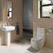 RAK Metropolitan Soft Close Toilet Seat profile small image view 2 