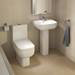 RAK Series 600 Close Coupled Modern Toilet with Soft Close Seat profile small image view 2 