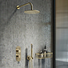 Arezzo Brushed Brass Round Thermostatic Shower Pack with Head + Handset (Oval Faceplate) profile small image view 1 