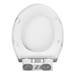 Standard Shaped Rapid Fix Soft Close Toilet Seat profile small image view 4 