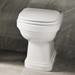 Burlington Riviera Back To Wall Toilet with Soft Close Seat profile small image view 2 