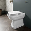 Burlington Riviera Back To Wall Toilet with Soft Close Seat profile small image view 1 