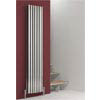 Reina Nerox Vertical Double Panel Stainless Steel Radiator - Polished profile small image view 1 