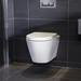 RAK Resort Wall Hung Rimless Pan + Quick Release Soft Close Urea Seat profile small image view 4 