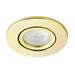 Revive Satin Brass IP65 LED Fire-Rated Tiltable Downlight profile small image view 2 