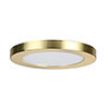 Revive Satin Brass Magnetic Ring for 18W 5-in-1 Light profile small image view 1 