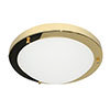 Revive Brass 2 x E27 Large Flush Ceiling Light profile small image view 1 