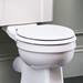 Burlington Soft Close Toilet Seat - Gloss White Seat - S18 profile small image view 2 