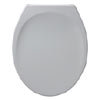 Armitage Shanks Astra Top Fixing Toilet Seat & Cover - S405001 profile small image view 1 