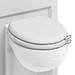 Burlington Soft Close Toilet Seat with Chrome Hinges and Handles - Matt White profile small image view 2 