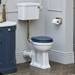 Burlington Soft Close Toilet Seat with Chrome Hinges - Blue profile small image view 2 